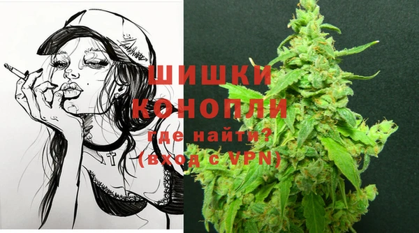 гидра Алексеевка