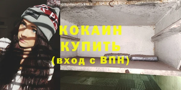 шишки Елизово