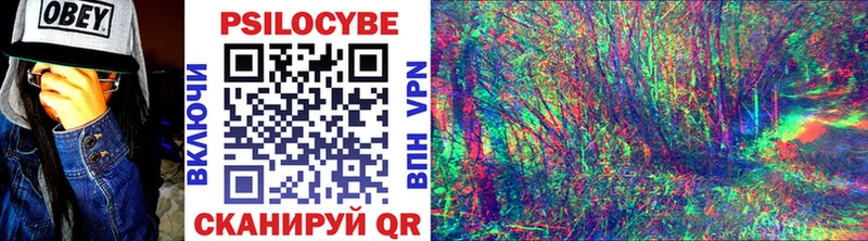 Псилоцибиновые грибы Psilocybe  наркотики  Чита 
